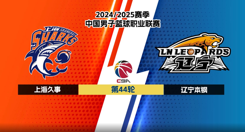 NBA奇才