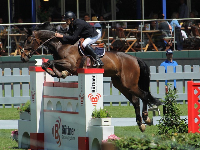 新月和胜利 新月和胜利