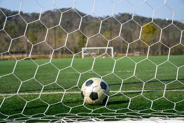 正是由于海 正是由于海