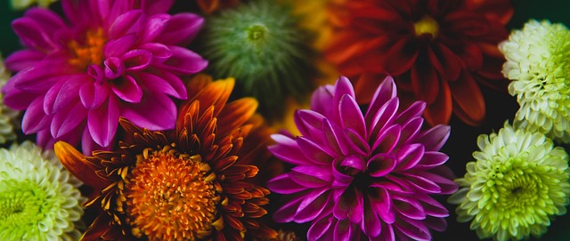 证了选手个 证了选手个