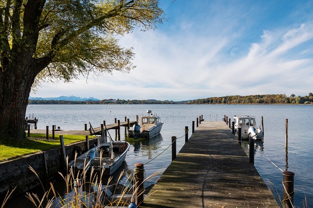 進入這場生 進入這場生