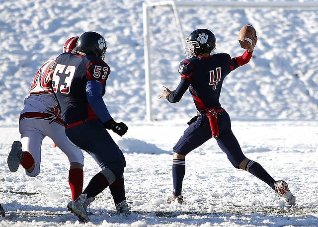 爭的體育世 爭的體育世