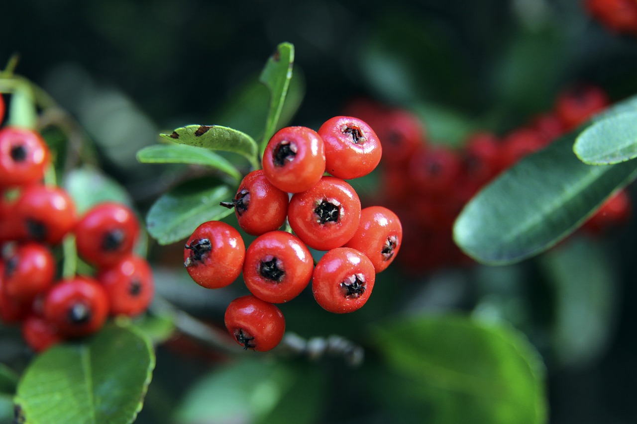 这些系统从 这些系统从