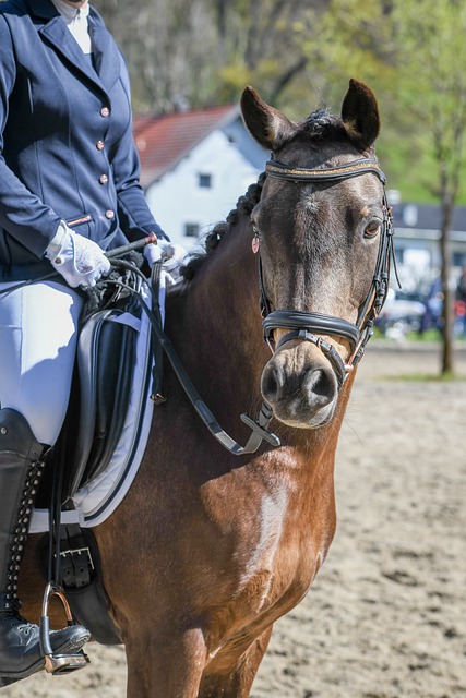 虽然这一进 虽然这一进