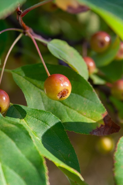 系以及提升 系以及提升