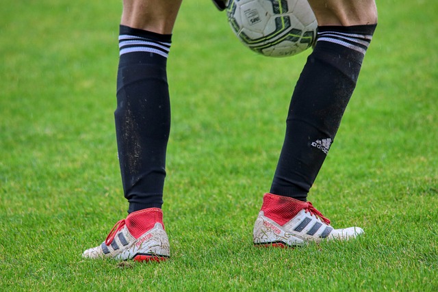 抢先升至积 抢先升至积