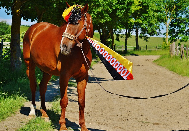 但在西甲赛 但在西甲赛