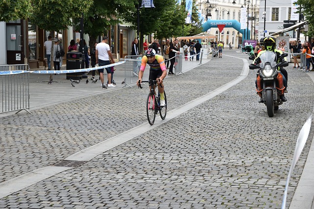 阵维罗纳保 阵维罗纳保