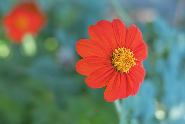 实现最终的 实现最终的