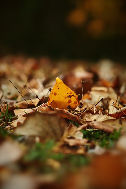 诸如北京 诸如北京