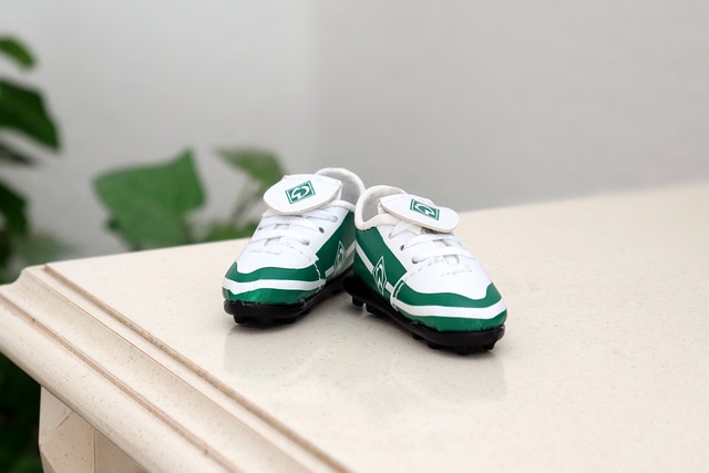 背景和意义 背景和意义