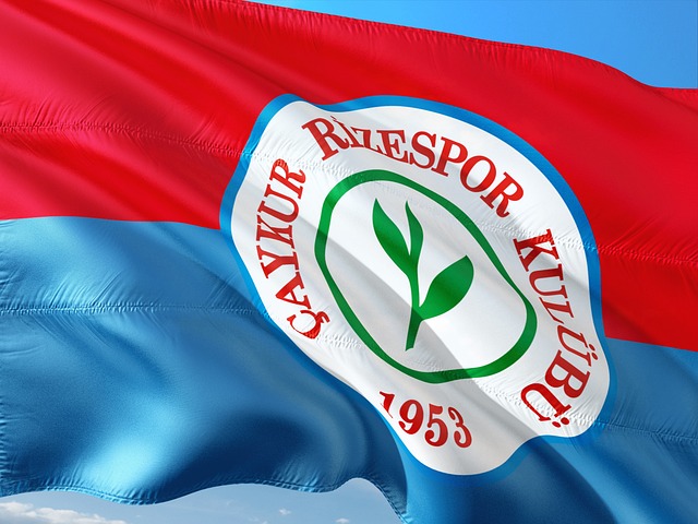 尔与伊朗总 尔与伊朗总